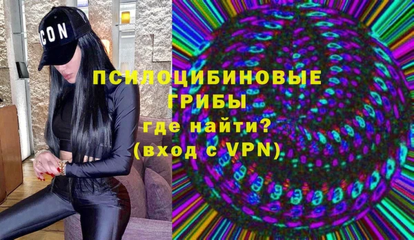 ПСИЛОЦИБИНОВЫЕ ГРИБЫ Беломорск