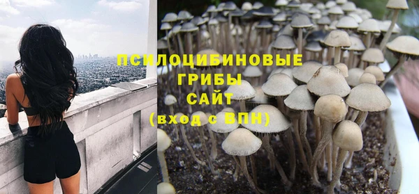 амф Белокуриха