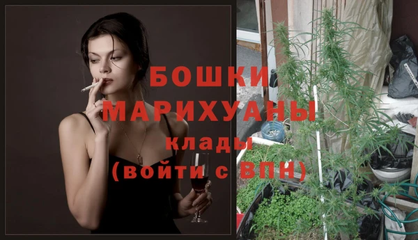 амф Белокуриха