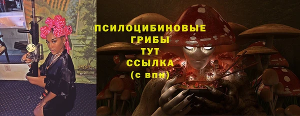 амф Белокуриха